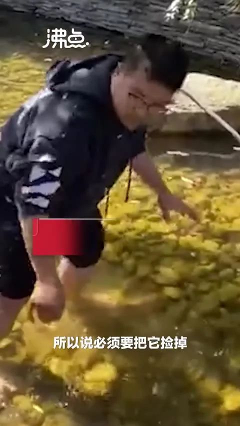 mpvideo